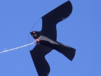 bird scaring kites hawk kite 12