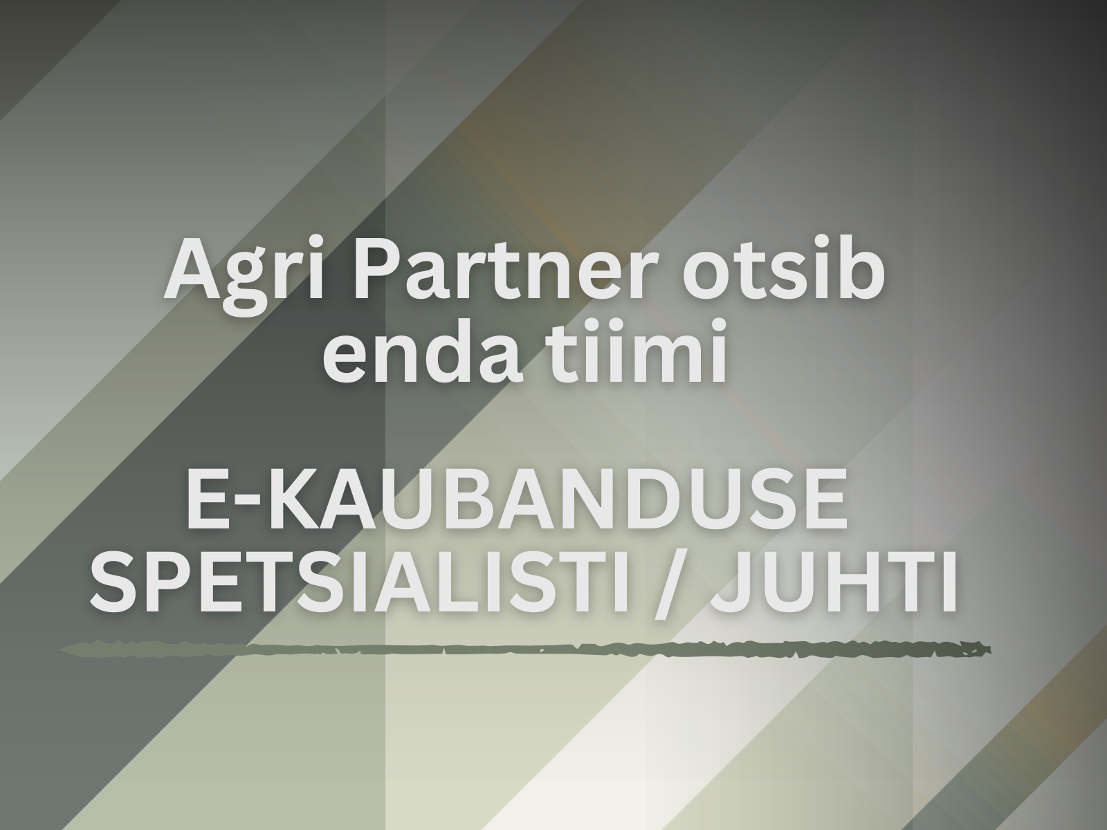 Otsime enda meeskonda E-kaubanduse spetsialisti/juhti, kelle arendada ja hallata on kolm peatselt valmivat kaasaaegsat veebipoodi. Loe rohkem töökuulutuse kohta