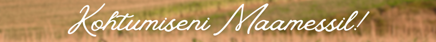 Nimetu 1024 x 100 px